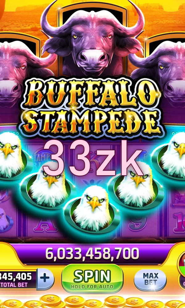 33zk Akses